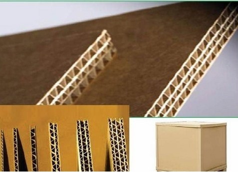 Sản phẩm img3 module1.jpg?1779981329231 — Công Ty CP Vận Tải Và Bao Bì Traco — MST 2300874154