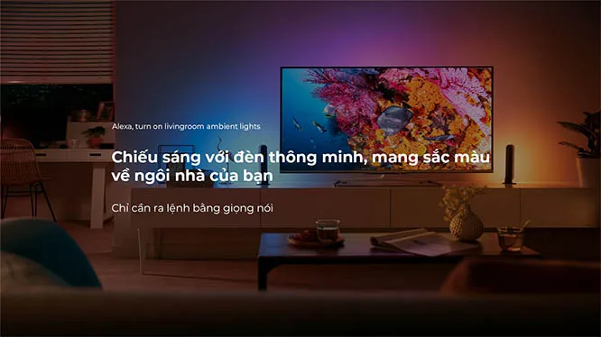 Sản phẩm ChieuSangThongMinh01 1 — Công Ty TNHH Thương Mại Dịch Vụ Và Tổng Hợp Dương Phát — MST 2300886826