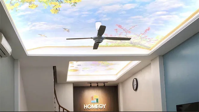 Sản phẩm homegy_light — Công Ty TNHH Thương Mại Dịch Vụ Và Tổng Hợp Dương Phát — MST 2300886826