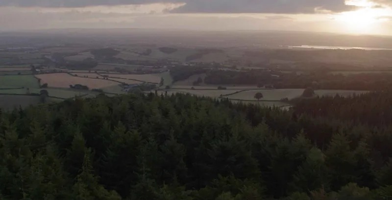 Sản phẩm fallback april 2024 low — Thùng Gỗ NEFAB - Công Ty TNHH NEFAB Việt Nam — MST 2300889577