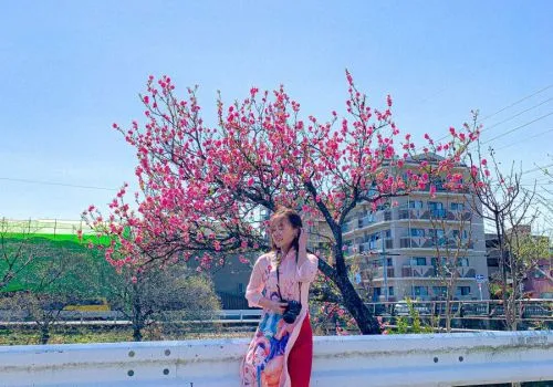 Sản phẩm 02ca177414eae7b4befb — Công Ty CP Đào Tạo Và Cung ứng Nguồn Nhân Lực Nhân Tài — MST 2300893044