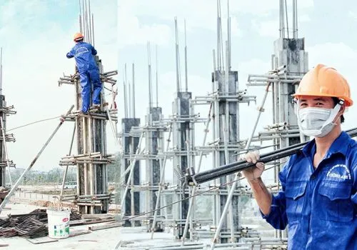Sản phẩm 08243 — Công Ty CP Đào Tạo Và Cung ứng Nguồn Nhân Lực Nhân Tài — MST 2300893044