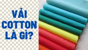 Sản phẩm cotton 2 300x169 — May Đồng Phục Tân Kỳ - Công Ty TNHH May Tân Kỳ — MST 2300936347