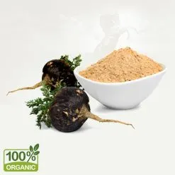 Sản phẩm Bot Maca den min 247x247 — Công Ty TNHH Thực Phẩm Trường Sinh Việt Nam — MST 2300940110