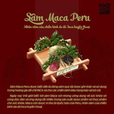Sản phẩm MACA PERU Truongsinh 400x400 — Công Ty TNHH Thực Phẩm Trường Sinh Việt Nam — MST 2300940110