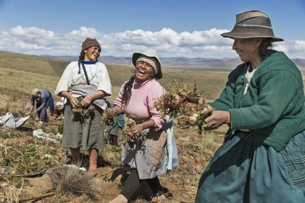 Sản phẩm Smiling_Women_Harvesting_Maca 1366 600x400 — Công Ty TNHH Thực Phẩm Trường Sinh Việt Nam — MST 2300940110
