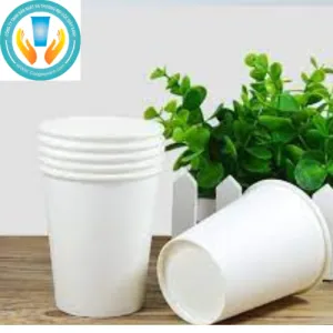 Sản phẩm Untitled design 1 300x300 — Cốc Giấy Xanh - Công Ty TNHH Hancom Việt Nam — MST 2300942090
