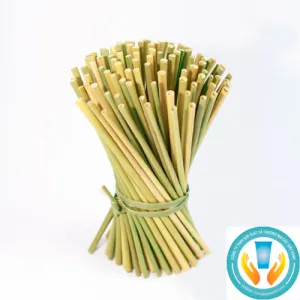 Sản phẩm Untitled design 2 1 300x300 — Cốc Giấy Xanh - Công Ty TNHH Hancom Việt Nam — MST 2300942090
