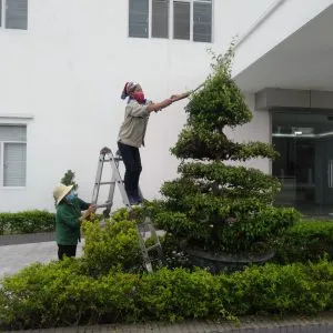 Sản phẩm z2102720118423_379ef11b8cce40e92310bb7fb596db53 300x300 — Công Ty TNHH Sản Xuất Thương Mại Dịch Vụ Cường Thịnh BN — MST 2300951761