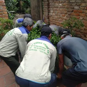 Sản phẩm z2102724987734_9721b5d0f8d551e3469bebbe297b631f 300x300 — Công Ty TNHH Sản Xuất Thương Mại Dịch Vụ Cường Thịnh BN — MST 2300951761