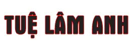 Sản phẩm tue lam anh — Công Ty TNHH Dịch Vụ Thương Mại Hoàn Mỹ Bắc Ninh — MST 2301024181