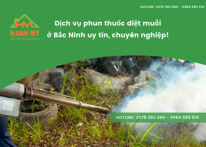 Sản phẩm dich vu phun thuoc diet muoi o bac ninh cho nha o va cong nghiep — Công Ty TNHH Dịch Vụ Thương Mại Hoàn Mỹ Bắc Ninh — MST 2301024181