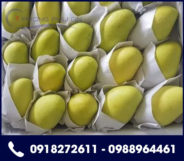 Sản phẩm Giay goi nonng san — Giấy May Mặc Phong Phú - Công Ty TNHH Giấy Phong Phú BN — MST 2301034729