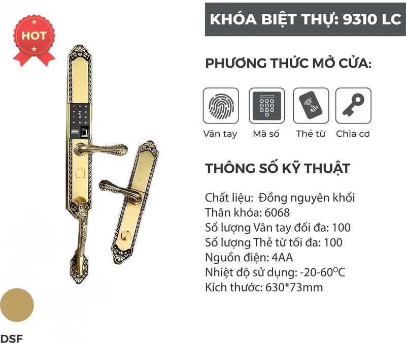 Sản phẩm 9310_lc_dsf1 — Khóa Cửa Việt Long - Công Ty TNHH XNK Khóa Cửa Việt Long — MST 2301086237