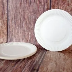 Sản phẩm DSC01661 250x250 — Công Ty TNHH Sản Xuất Và Thương Mại Vinacup — MST 2301090603