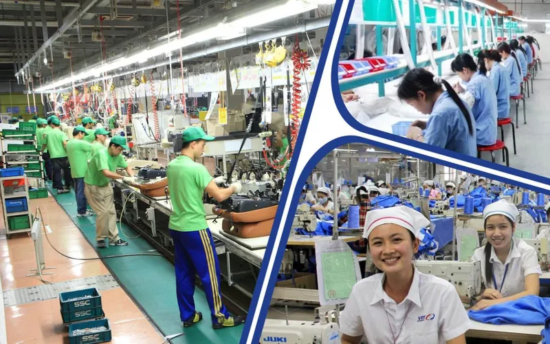 Sản phẩm Damsan VietNam 1280x800 — Công Ty Cổ Phần Cung ứng Nhân Lực Damsan — MST 2301123986