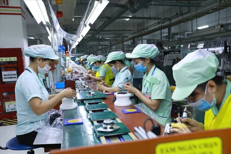 Sản phẩm the nao la lao dong gian don — Công Ty Cổ Phần Cung ứng Nhân Lực Damsan — MST 2301123986