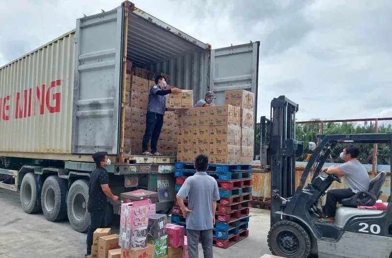 Sản phẩm Dich vu boc xep hang hoa — Công Ty Cổ Phần Cung ứng Nhân Lực Damsan — MST 2301123986