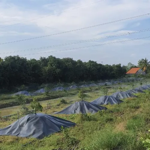 Sản phẩm vai chan co phu goc cay 3 — Vải Không Dệt Xăm Kim Phú Quý BN - Công Ty TNHH Phú Quý BN — MST 2301134258