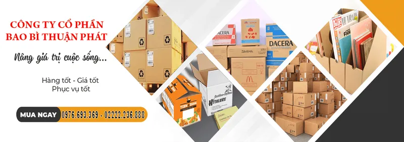 Sản phẩm 0803.baner bao bi 55s.a.loi_ — Chi Nhánh Công Ty Cổ Phần Bao Bì Công Nghệ Thuận Phát — MST 2301148282