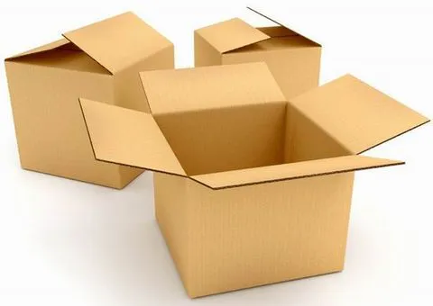 Sản phẩm unnamed 4 — Chi Nhánh Công Ty Cổ Phần Bao Bì Công Nghệ Thuận Phát — MST 2301148282