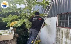 Sản phẩm ky thuat vien dong coc tiep dia 300x188 — Điện Năng Lượng Mặt Trời Hùng Phong - Công Ty TNHH Kỹ Thuật Hùng Phong — MST 2301152419