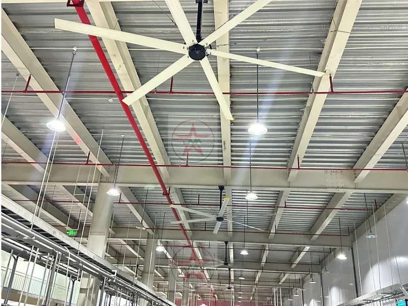 Sản phẩm z6701148010331_4c275e3e734eb3248cf7fedcd4252a00 — Công Ty Cổ Phần Sản Xuất Dịch Vụ Và Thương Mại Đoàn Mỹ Anh — MST 2301180977