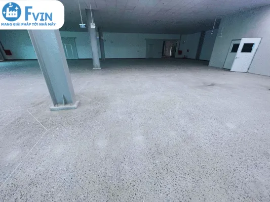 Sản phẩm 12 2 533x400 — Công Ty TNHH F Vin — MST 2301183569