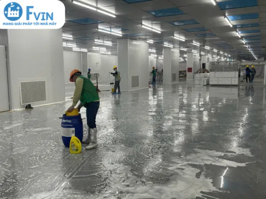 Sản phẩm 2 4 533x400 — Công Ty TNHH F Vin — MST 2301183569
