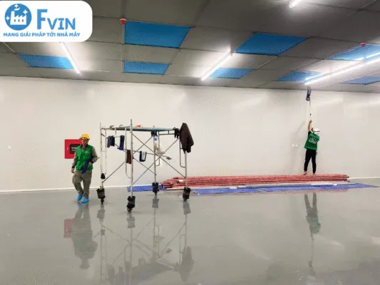 Sản phẩm 3 5 533x400 — Công Ty TNHH F Vin — MST 2301183569