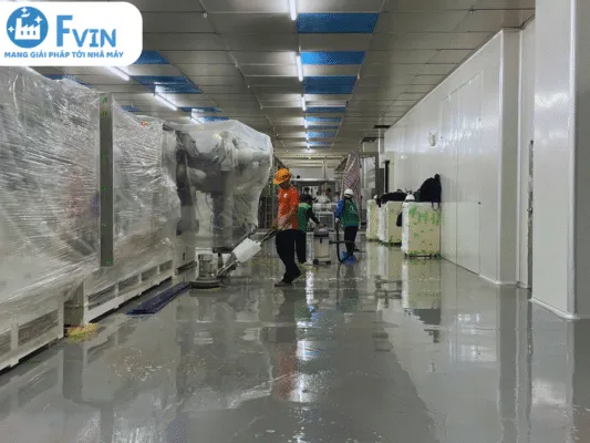 Sản phẩm 4 6 533x400 — Công Ty TNHH F Vin — MST 2301183569