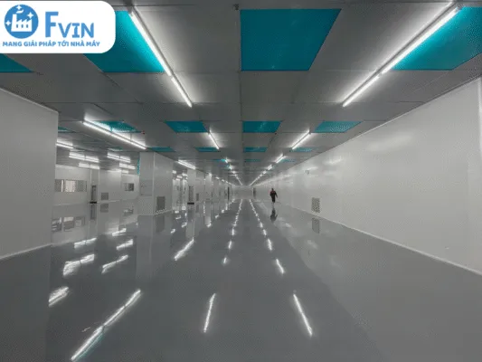 Sản phẩm 5 5 533x400 — Công Ty TNHH F Vin — MST 2301183569
