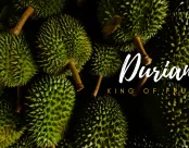 Sản phẩm Durian 1 174x136 — Trái Cây Sấy C&C - Công Ty Cổ Phần Thực Phẩm Quốc Tế C&C — MST 2301206375