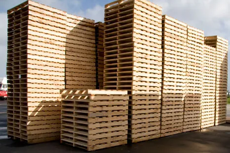 Sản phẩm pallet — Pallet Gỗ GREEN WOOD - Công Ty TNHH SX Và TM GREEN WOOD — MST 2301244324