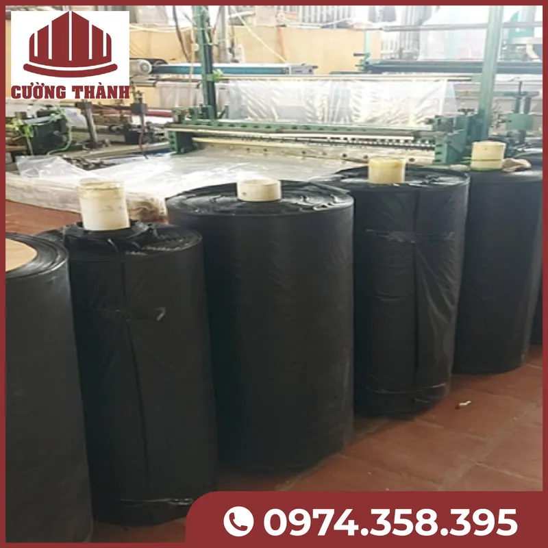 Sản phẩm TÃºi nilon 12 — Vật Liệu Đóng Gói Cường Thành - Công Ty Cổ Phần Tổng Hợp Cường Thành — MST 2301275989