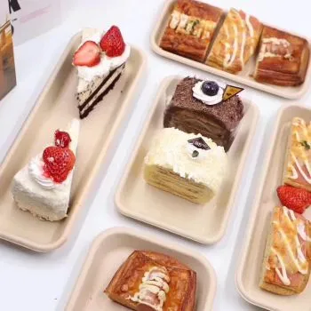 Sản phẩm 餐盒，餐碟类纸托7 — Công Ty TNHH Chính Xác Hua Chuang Việt Nam — MST 2301281051