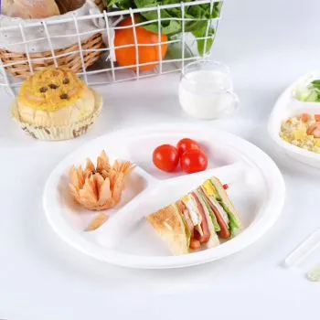 Sản phẩm 餐盒，餐碟类纸托8 — Công Ty TNHH Chính Xác Hua Chuang Việt Nam — MST 2301281051