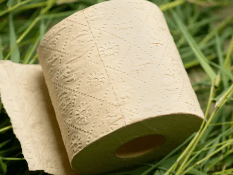 Sản phẩm tt 7 — Công Ty CP Xuất Nhập Khẩu Bắc Giang — MST 2400110949