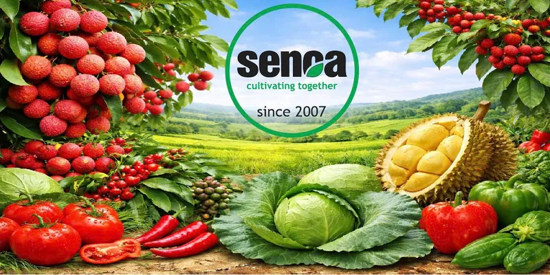 Sản phẩm bn — Công Ty Cổ Phần Senca — MST 2400388704