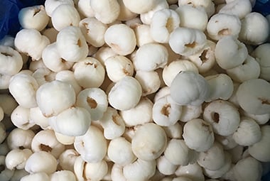 Sản phẩm ft_4.png?v=470 — Công Ty CP Xuất Nhập Khẩu Vifoco — MST 2400397730