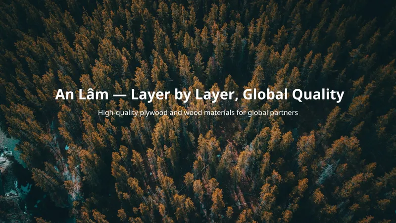 Sản phẩm An Lam — Layer by Layer Global Quality 1 — Gỗ Dán An Lâm - Công Ty TNHH An Lâm — MST 2400491638