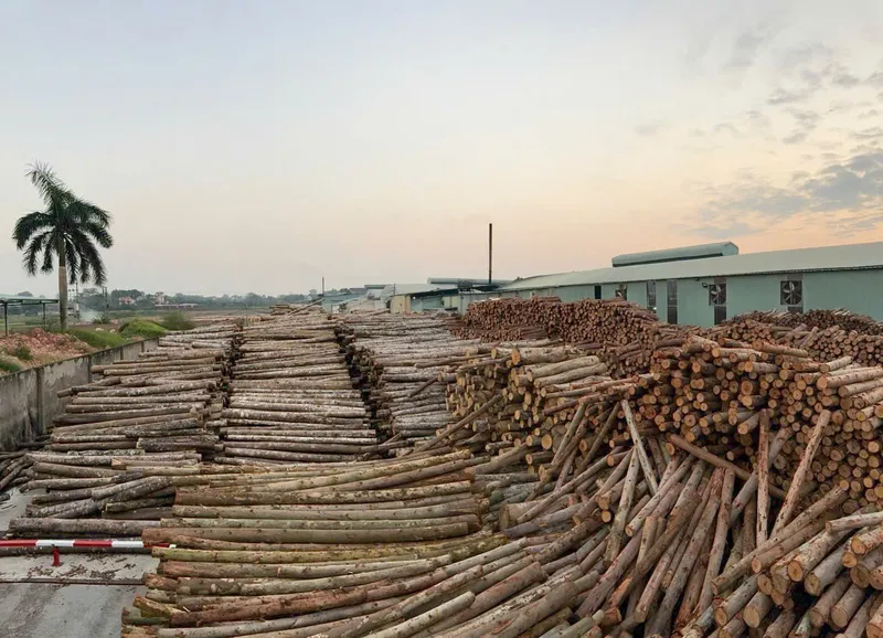 Sản phẩm z7381151530347_5de0e365aeddc6d739615d4a37c0582e — Gỗ Dán An Lâm - Công Ty TNHH An Lâm — MST 2400491638