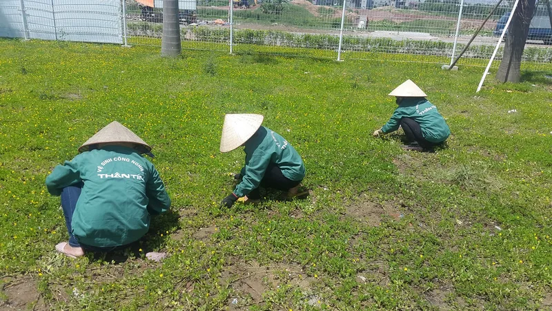Sản phẩm 50 — Vệ Sinh Công Nghiệp Thân Tín - Công Ty Cổ Phần Thương Mại Và Dịch Vụ Thân Tín — MST 2400588037