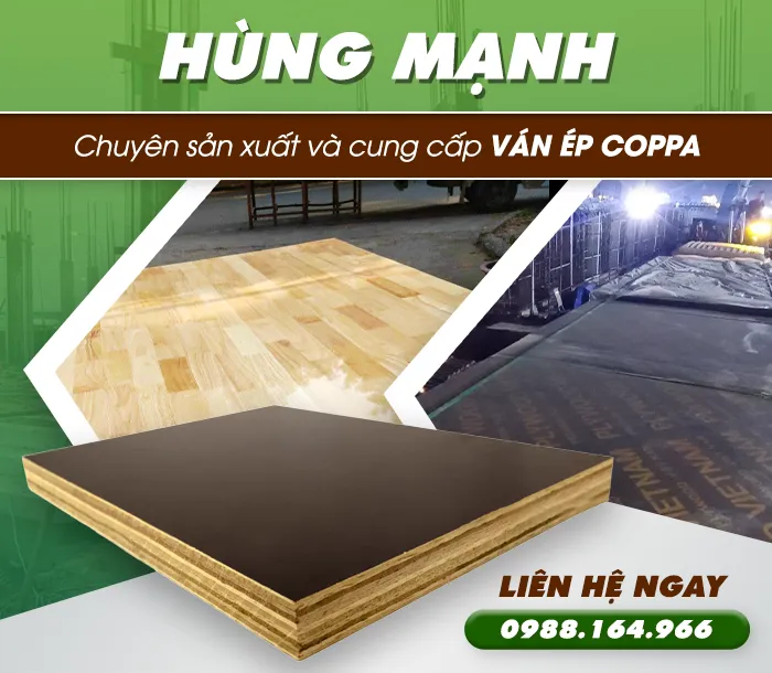 Sản phẩm intro — Ván ép Hùng Mạnh - Công Ty TNHH Chế Biến Lâm Sản Hùng Mạnh — MST 2400622432