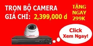 Sản phẩm 1 — Công Ty TNHH Thương Mại Dịch Vụ Tổng Hợp Phong Hương — MST 2400807271