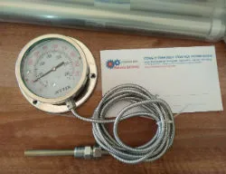 Sản phẩm 2 250 19 — Công Ty TNHH Thương Mại Dịch Vụ Tổng Hợp Phong Hương — MST 2400807271