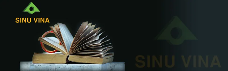 Sản phẩm websites — Nhựa Xốp SINU VINA - Công Ty TNHH Sản Xuất Thương Mại Nhựa Xốp EPS Chống Cháy
SINU VINA — MST 2400819661
