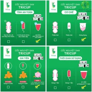 Sản phẩm coc nguyet san tricup 15 300x300 — Công Ty TNHH Thương Mại Tổng Hợp Lan Chi — MST 2400821572