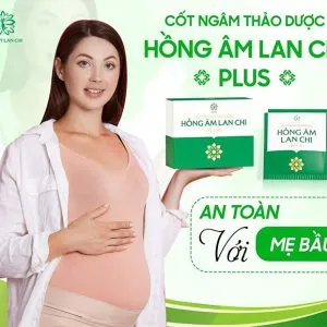 Sản phẩm cot xong ngam lan chi 8 300x300 — Công Ty TNHH Thương Mại Tổng Hợp Lan Chi — MST 2400821572