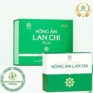 Sản phẩm hong am lan chi plus 300x300 — Công Ty TNHH Thương Mại Tổng Hợp Lan Chi — MST 2400821572